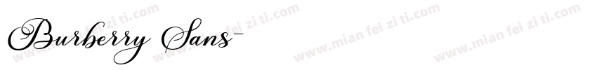 Burberry Sans字体转换